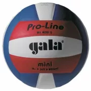 GALA Pro Line Mini libero röplabda, 4-es röplabda GALA Pro Line Mini libero röplabda, 4-es röplabda