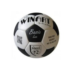 Basic Lux bőr focilabda no. 5